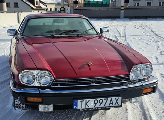 Jaguar XJS cena 43000 przebieg: 131701, rok produkcji 1987 z Kielce małe 137